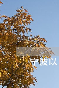 宁波以立法引导和规范文明行为 宁波以立法引导和规范文明行为