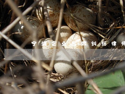 宁波企业合同纠纷律师 宁波企业合同纠纷律师