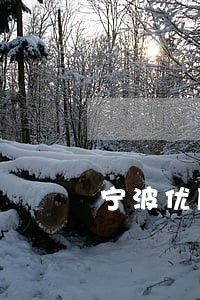 宁波优质网络诈骗罪律师价格 宁波优质网络诈骗罪律师价格