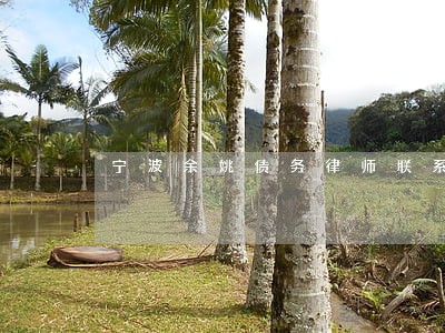 宁波余姚债务律师联系方式 宁波余姚债务律师联系方式