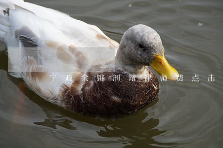 宁波余姚刑辩律师费点击查看