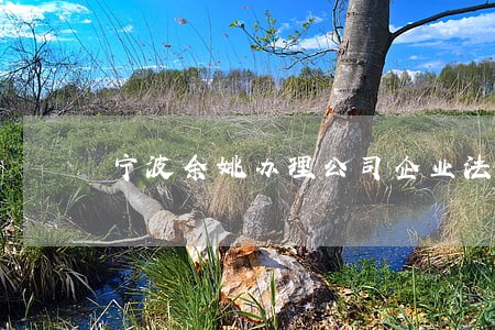 宁波余姚办理公司企业法律顾问 宁波余姚办理公司企业法律顾问