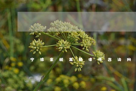 宁波余姚离婚律师咨询网站 宁波余姚离婚律师咨询网站