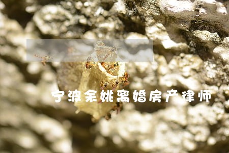 宁波余姚离婚房产律师 宁波余姚离婚房产律师