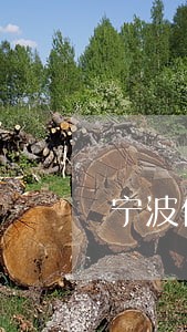 宁波信用卡逾期2天