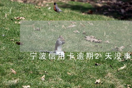 宁波信用卡逾期2天没事吧 宁波信用卡逾期2天没事吧