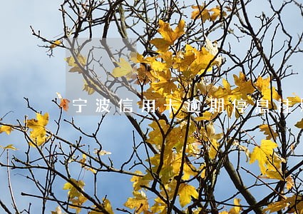 宁波信用卡逾期停息挂账申请条件 宁波信用卡逾期停息挂账申请条件