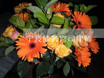 宁波债务官司律师