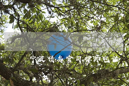 宁波债务官司律师电话 宁波债务官司律师电话