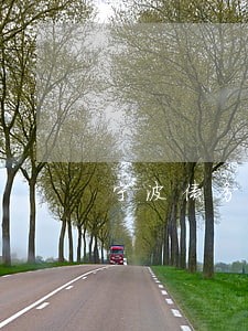 宁波债务律师案例 宁波债务律师案例