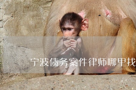 宁波债务案件律师哪里找 宁波债务案件律师哪里找