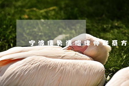 宁波债务清偿律师联系方式 宁波债务清偿律师联系方式
