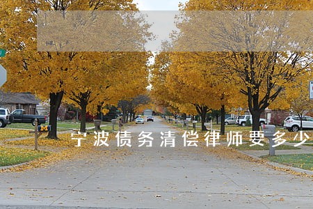 宁波债务清偿律师要多少钱 宁波债务清偿律师要多少钱