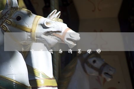宁波债务清算律师 宁波债务清算律师