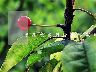 宁波债务纠纷律师案例