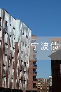 宁波债务诉讼律师 宁波债务诉讼律师