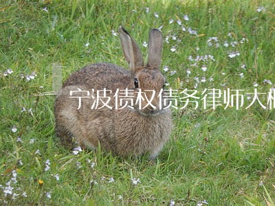宁波债权债务律师大概多少钱 宁波债权债务律师大概多少钱