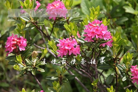 宁波债权债务继承 宁波债权债务继承