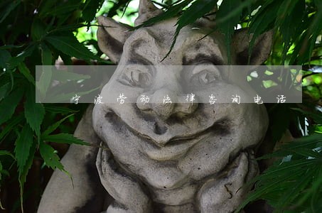 宁波劳动法律咨询电话 宁波劳动法律咨询电话
