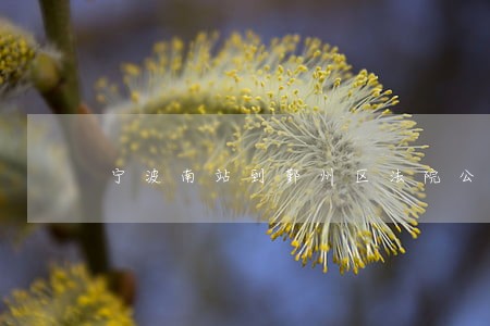 宁波南站到鄞州区法院公交车