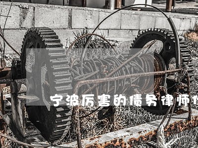 宁波厉害的债务律师代理费 宁波厉害的债务律师代理费