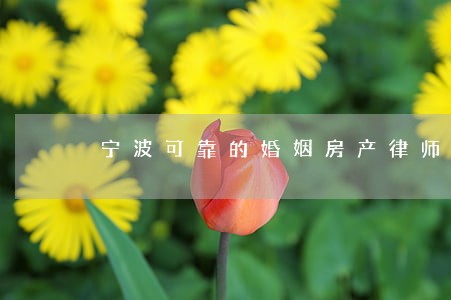宁波可靠的婚姻房产律师 宁波可靠的婚姻房产律师