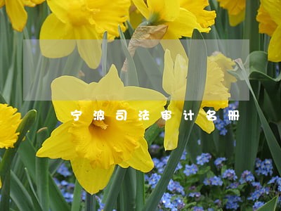 宁波司法审计名册 宁波司法审计名册