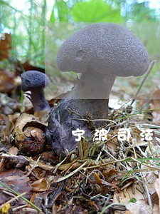 宁波司法房地产拍卖 宁波司法房地产拍卖