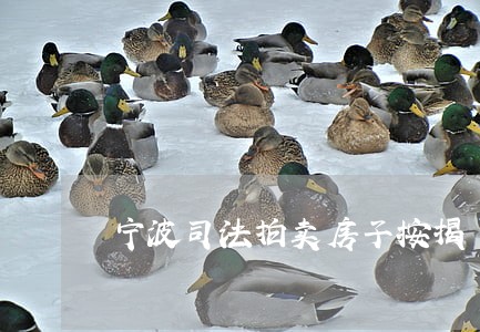 宁波司法拍卖房子按揭 宁波司法拍卖房子按揭