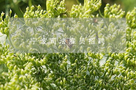 宁波司法雇员招聘 宁波司法雇员招聘