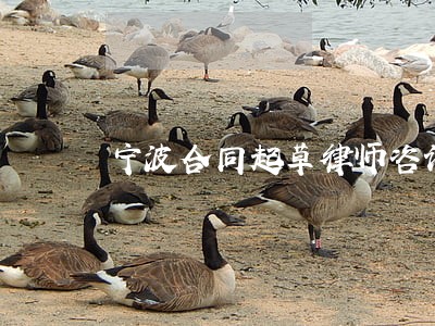 宁波合同起草律师咨询 宁波合同起草律师咨询
