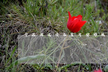 宁波周边债务官司律师联系方式 宁波周边债务官司律师联系方式