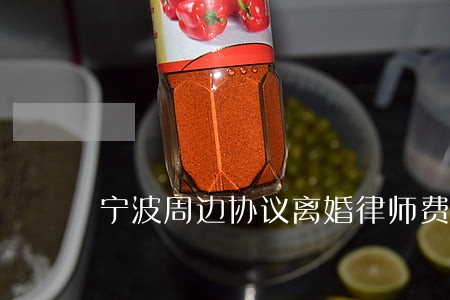 宁波周边协议离婚律师费 宁波周边协议离婚律师费