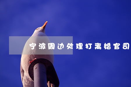 宁波周边处理打离婚官司律师