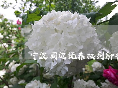 宁波周边抚养权纠纷律师费 宁波周边抚养权纠纷律师费