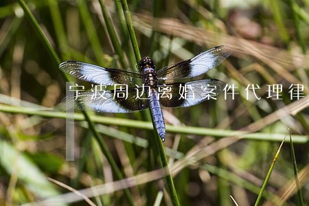 宁波周边离婚案件代理律师 宁波周边离婚案件代理律师