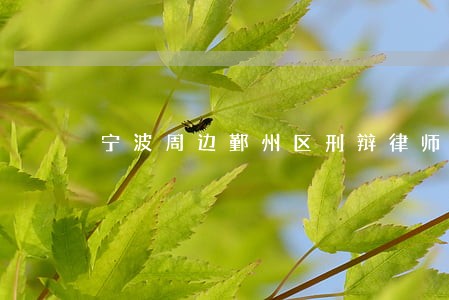 宁波周边鄞州区刑辩律师 宁波周边鄞州区刑辩律师