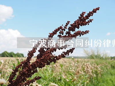 宁波商事合同纠纷律师 宁波商事合同纠纷律师