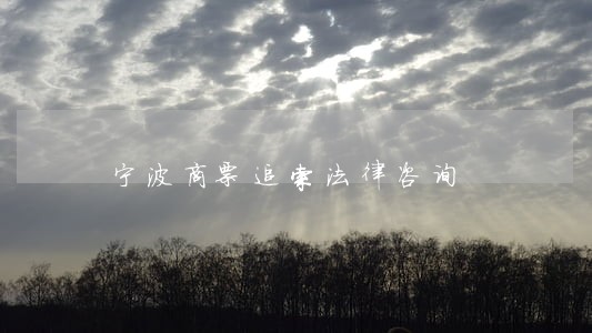 宁波商票追索法律咨询 宁波商票追索法律咨询