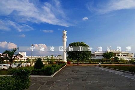 宁波地区信用卡逾期数据