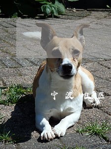 宁波地区债务合同律师怎么委托 宁波地区债务合同律师怎么委托