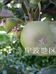 宁波地区刑事诉讼律师推荐 宁波地区刑事诉讼律师推荐