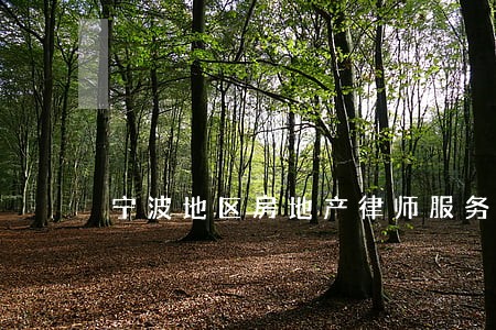 宁波地区房地产律师服务 宁波地区房地产律师服务