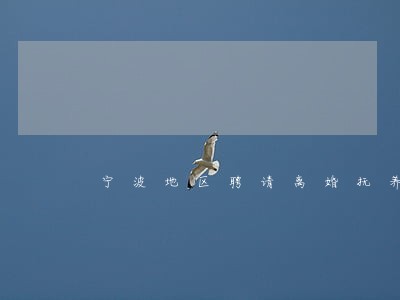 宁波地区聘请离婚抚养纠纷律师 宁波地区聘请离婚抚养纠纷律师