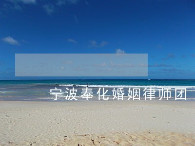 宁波奉化婚姻律师团