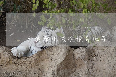 宁波奉化法院领导班子