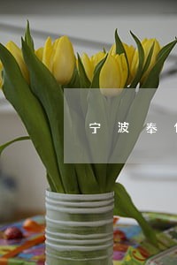 宁波奉化离婚债务律师哪个好 宁波奉化离婚债务律师哪个好