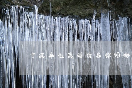 宁波奉化离婚债务律师哪里找 宁波奉化离婚债务律师哪里找