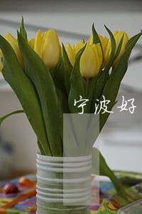 宁波好的债务律师电话多少 宁波好的债务律师电话多少