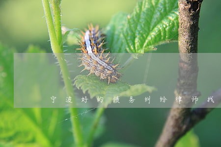 宁波好的债务纠纷律师找谁好 宁波好的债务纠纷律师找谁好